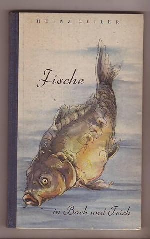 Bild des Verkufers fr Fische in Bach und Teich. Mit 16 Tafeln von Lieselotte Finke-Poser. zum Verkauf von Kunze, Gernot, Versandantiquariat