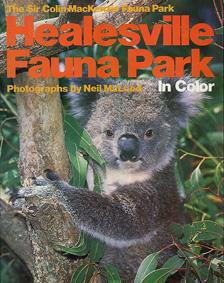 Seller image for Healesville Fauna Park in Colour (Koala) for sale by Schueling Buchkurier