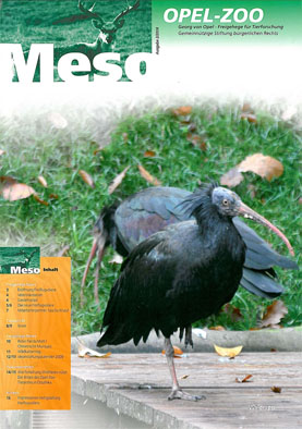 Seller image for Meso (Das Opel-Zoo Magazin 2/2008) for sale by Schueling Buchkurier