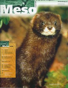 Seller image for Meso (Das Opel-Zoo Magazin 2/2000) for sale by Schueling Buchkurier