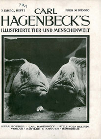 Seller image for Carl Hagenbeck s Illustrierte Tier- und Menschenwelt. 3. Jhg., Heft 2 for sale by Schueling Buchkurier