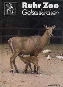 Image du vendeur pour RuhrZoo Magazin / Jahresbericht 1990 (12. Jg., 1991) mis en vente par Schueling Buchkurier