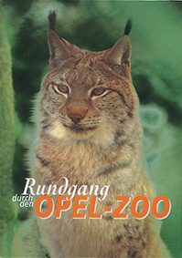 Seller image for Rundgang durch den Opel-Zoo (Luchs) for sale by Schueling Buchkurier