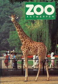 Bild des Verkufers fr Zoofhrer (Giraffe) mit Faltplan und Banderole zum Verkauf von Schueling Buchkurier