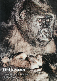 Imagen del vendedor de Zoofhrer (Gorilla mit Jungtier), 36. Auflage a la venta por Schueling Buchkurier