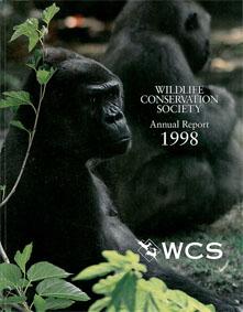 Seller image for Annual Report 1998 for sale by Schueling Buchkurier