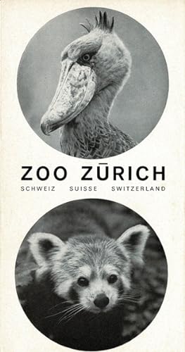 Image du vendeur pour Faltblatt, sw (Schuhschnabel, Kl. Panda) mis en vente par Schueling Buchkurier