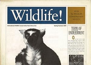 Seller image for Wildlife! Spring / Summer 1993 (Katta) mit Plan von International Conservation Park/Bronx Zoo for sale by Schueling Buchkurier