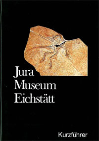 Seller image for Kurzfhrer Jura-Museum Eichsttt for sale by Schueling Buchkurier