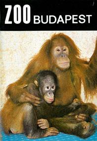 Seller image for Parkfhrer (Orang Utans) for sale by Schueling Buchkurier