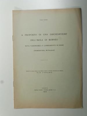 A proposito di una smicromyrme dell'isola di Borneo - nota tassonomica e cambiamento di nome (hym...