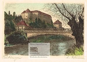 Tübingen. Malerischer Blick über Neckar und Brücke auf die Festung Schloss Hohentübingen. Kolorie...