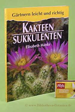 Kakteen - Sukkulenten.