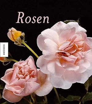 Bild des Verkufers fr Rosen zum Verkauf von Antiquariat Armebooks