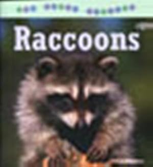 Raccoons