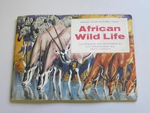 Gazelle Thomson's Gazelle #40 African Wild Life 1962 Brooke Bond Tea Card 