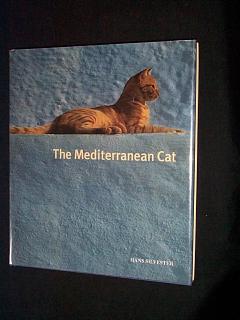 The Mediterranean Cat.