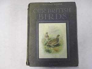 Seller image for Our British Birds for sale by Goldstone Rare Books