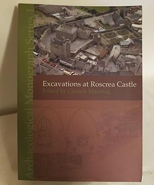 Excavations at Roscrea Castle