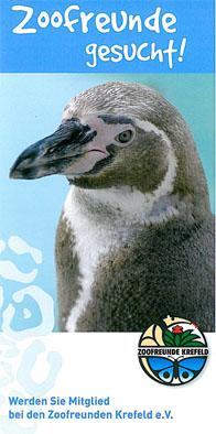 Seller image for Zoofreunde gesucht (Pinguin) for sale by Schueling Buchkurier