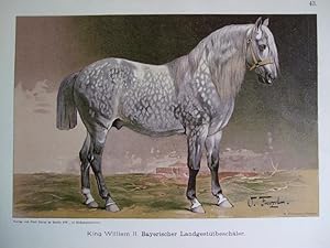 Imagen del vendedor de Bayerischer Landgesttbeschler "King William II." a la venta por Versandantiquariat Trffelschwein