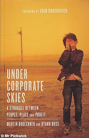 Seller image for Under Corporate Skies: A Struggle Between People, Place and Profit for sale by Mr Pickwick's Fine Old Books