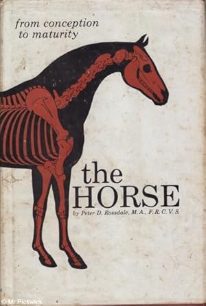 The Horse From Conception to Maturity