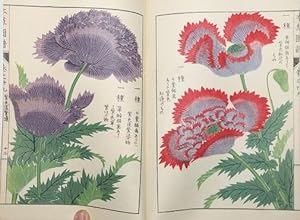 Japanese Botanical Book