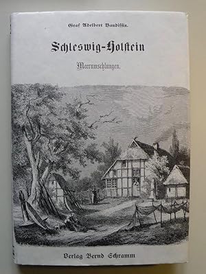 Bild des Verkufers fr Schleswig-Holstein Meerumschlungen. Kriegs- und Friedensbilder aus dem Jahre 1864. zum Verkauf von Antiquariat Hubertus von Somogyi-Erddy