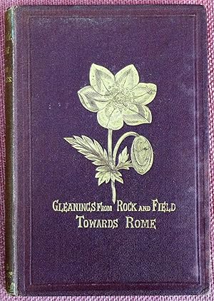 Wayside Flora: Or, Gleanings from Rock and Field Towards Rome