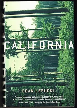 California: A Novel