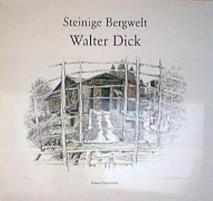 Steinige Bergwelt