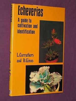 Echeverias: A Guide to Cultivation and Identification