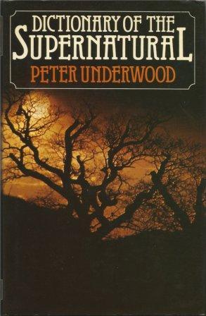 Seller image for DICTIONARY OF THE SUPERNATURAL for sale by Fantastic Literature Limited