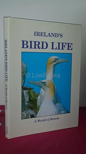 Ireland's Bird Life: A World of Beauty