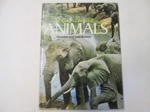 Seller image for Colorful World of Animals for sale by Goldstone Rare Books