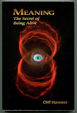 Immagine del venditore per Meaning: The Secret of Being Alive venduto da Book Happy Booksellers