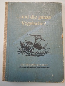 .und die ganze Vogelschar Vier schauen dem Kiebitz ins Nest