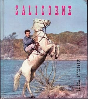 Seller image for Salicorne for sale by L'ivre d'Histoires