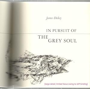In Pursuit of the Grey Soul