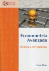 Econometría avanzada: técnicas y herramientas