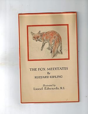 The Fox Meditates
