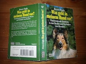 Was geht in meinem Hund vor ?