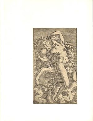 Le beau style. 1520 - 1620. Gravures maniéristes de la collection Georg Baselitz.