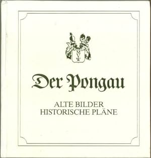 Imagen del vendedor de Der Pongau. Alte Bilder, historische Plne. a la venta por Antiquariat Weinek