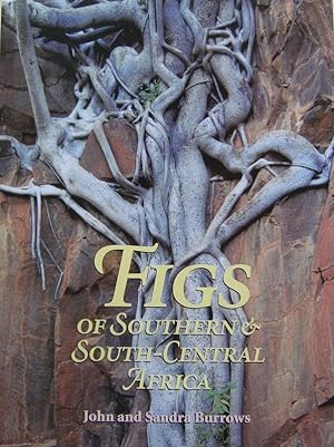 Figs of Southern and South-Central Africa
