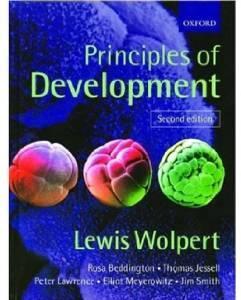 Imagen del vendedor de Principles of development a la venta por Monroe Street Books