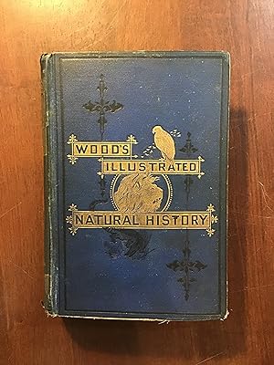 Wood's Illustrated Natural History