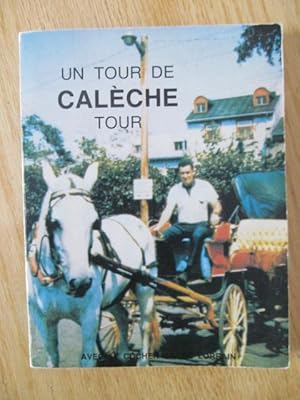 Un tour de calèche = a buggy ride