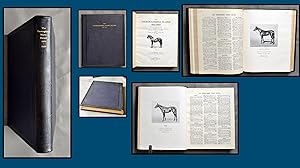 THE THOROUGHBRED MARE'S RECORD 1850 - 1928